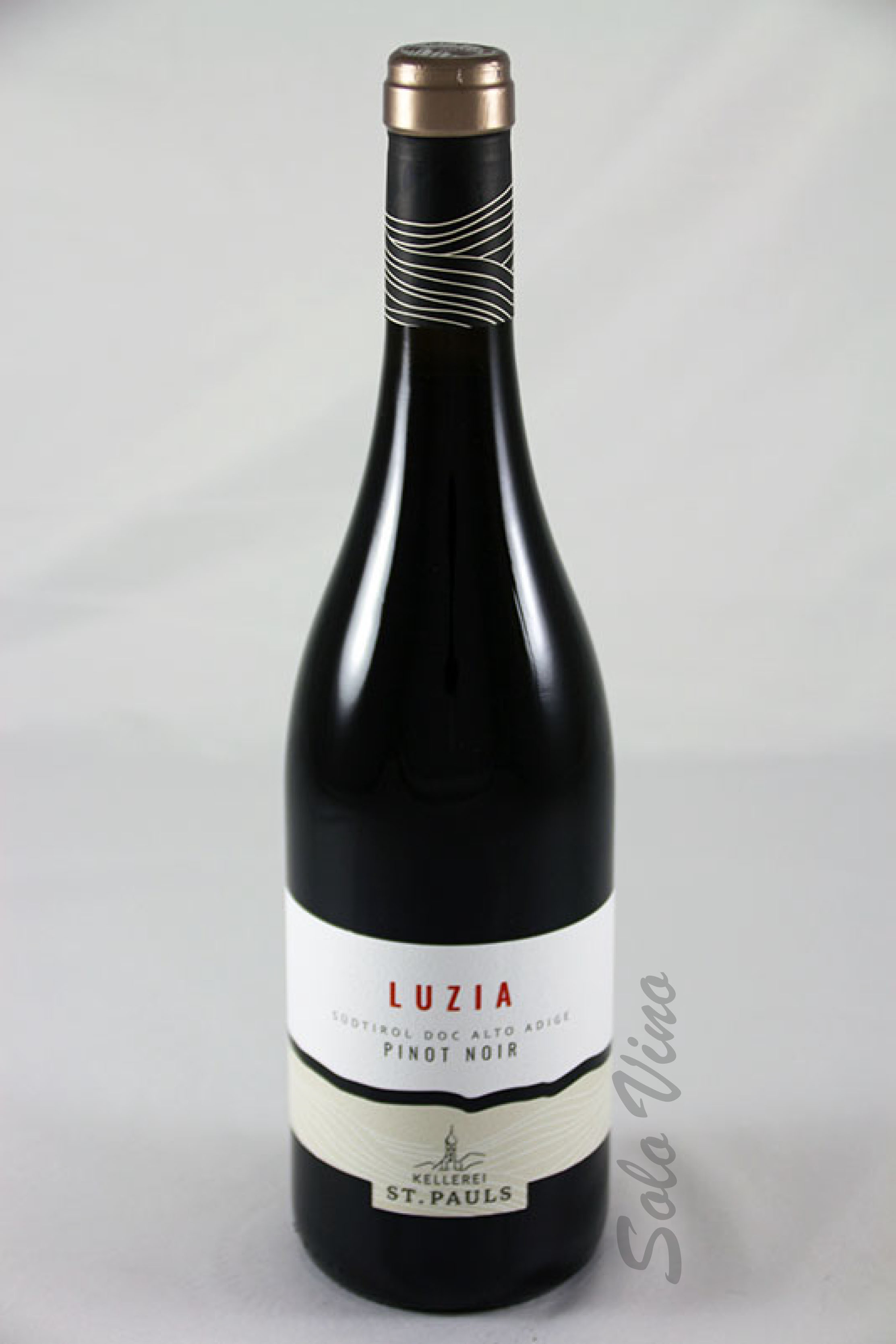 Blauburgunder Luzia 2021