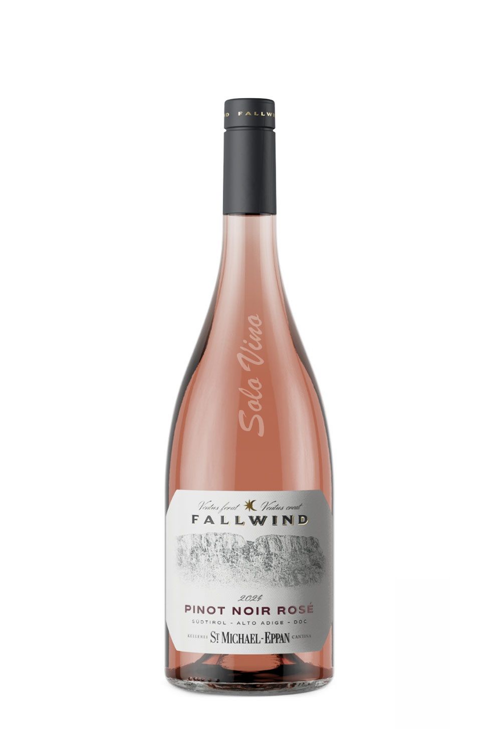 Pinot Noir Rosé Fallwind 2024