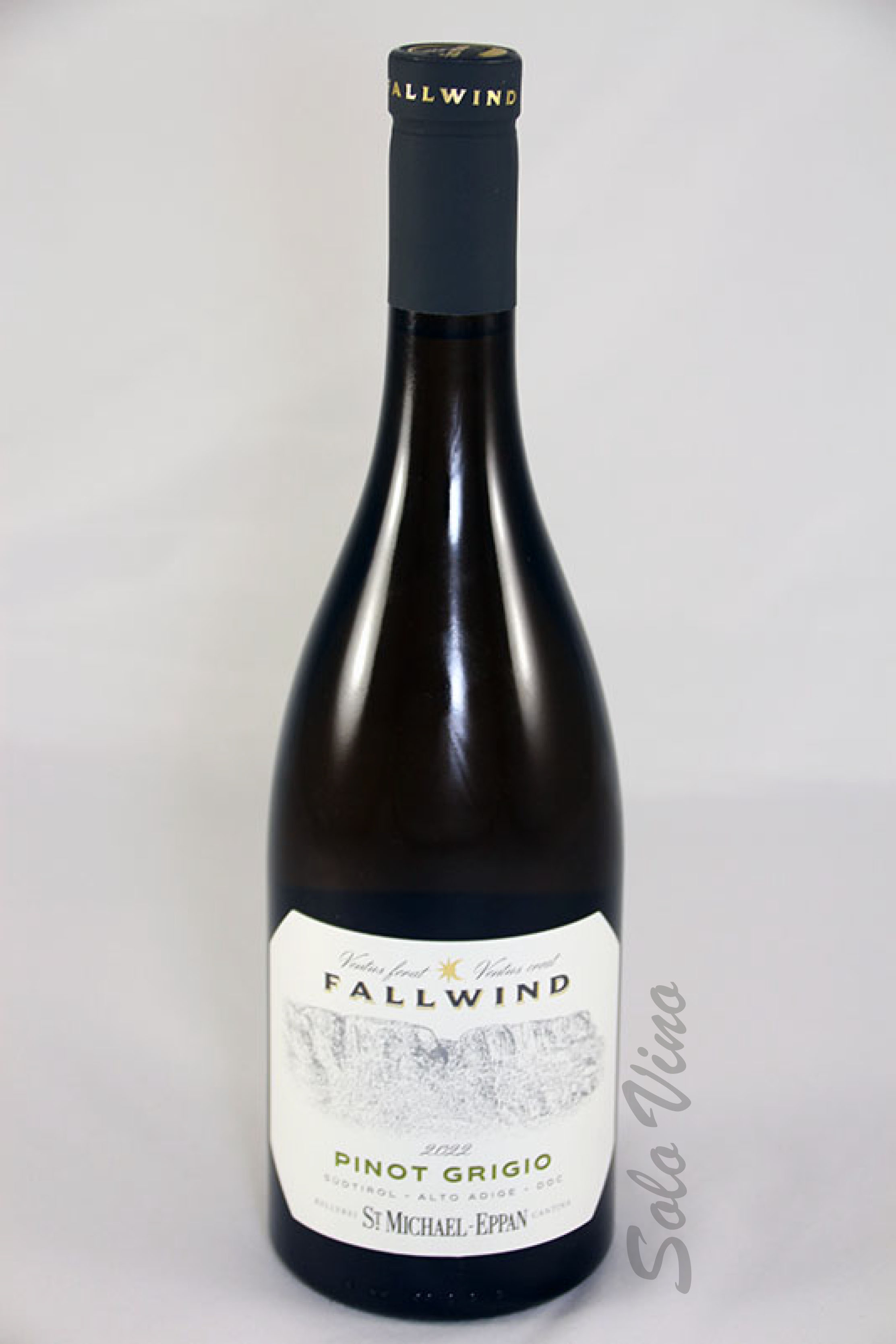 Pinot Grigio Fallwind 2024