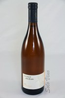 Upupa Orange 2022 Upupa Orange 2022